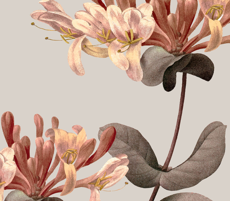 Close up of flowers