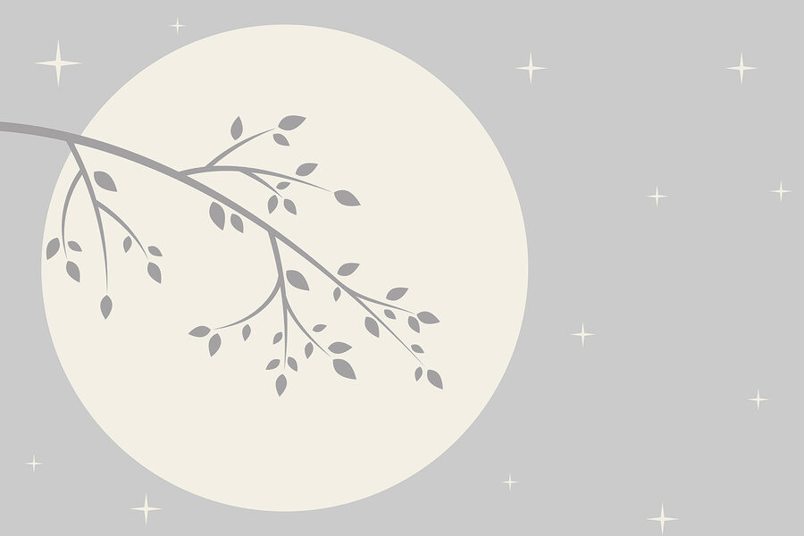 Wall murals Tree branch with leaves on it - Image 4
