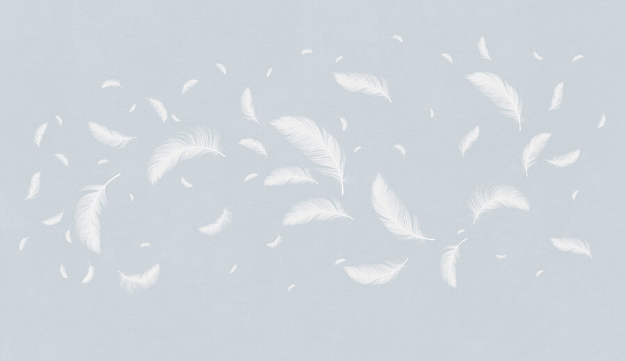 White feathers floating in the air