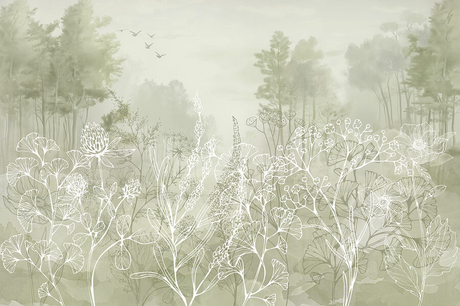 Drawing of plants and trees