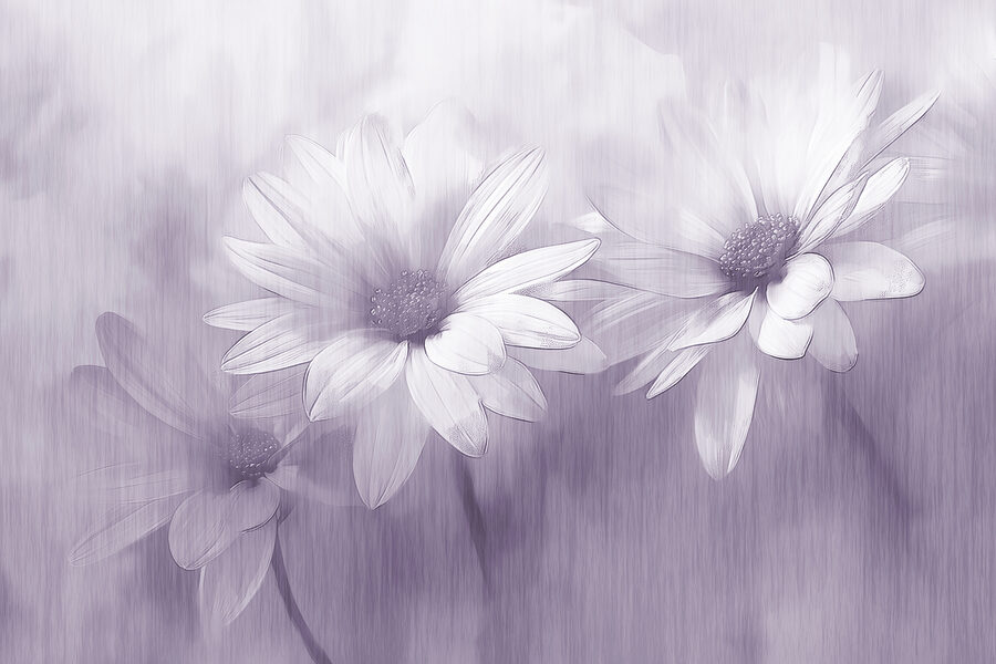 Close up of flowers