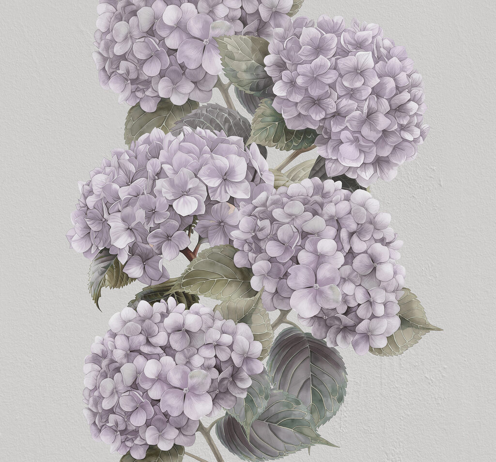 Close up of a flower