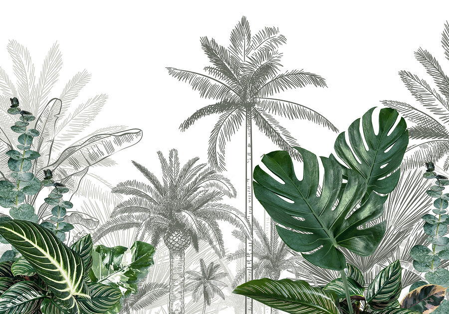 Group of palm trees