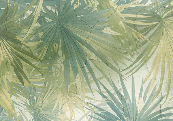 Close up of leaves with Nazca Lines in the background Close up of leaves with Nazca Lines in the background