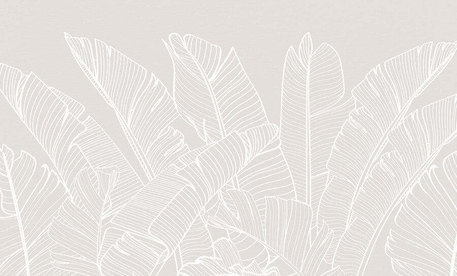 Close up of leaves