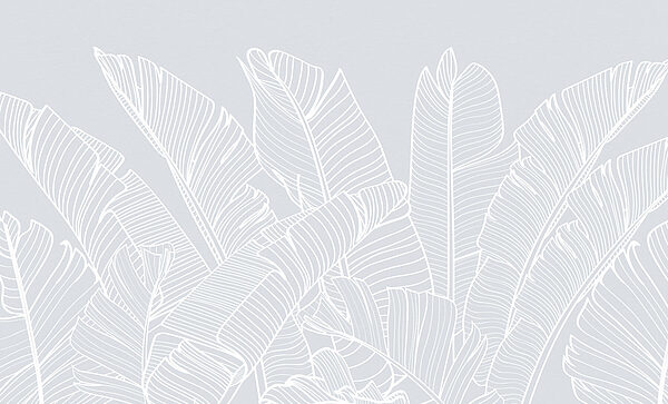 White line drawing of leaves White line drawing of leaves
