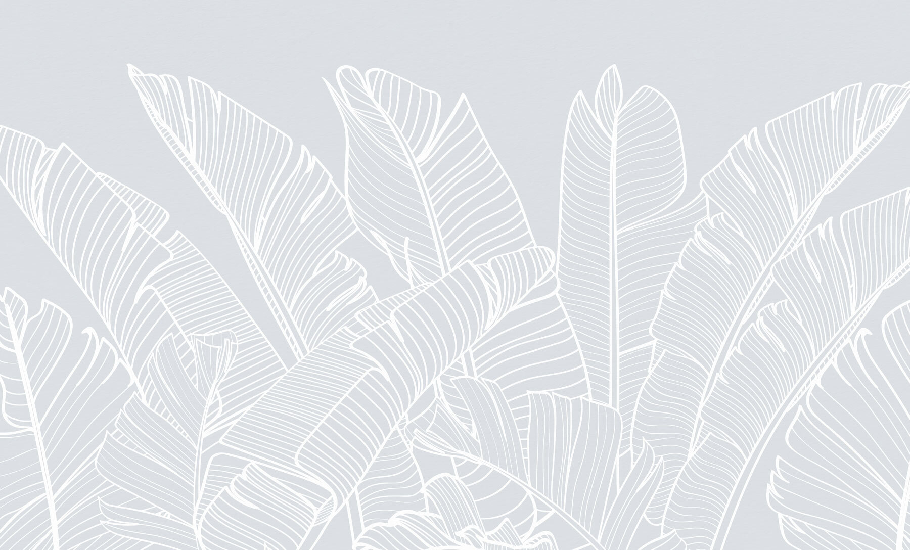 White line drawing of leaves White line drawing of leaves