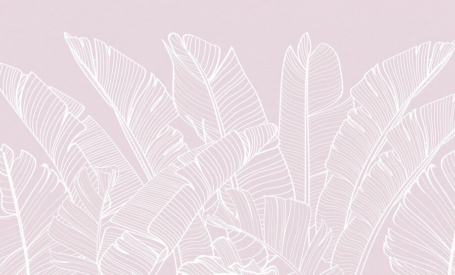 Close up of leaves