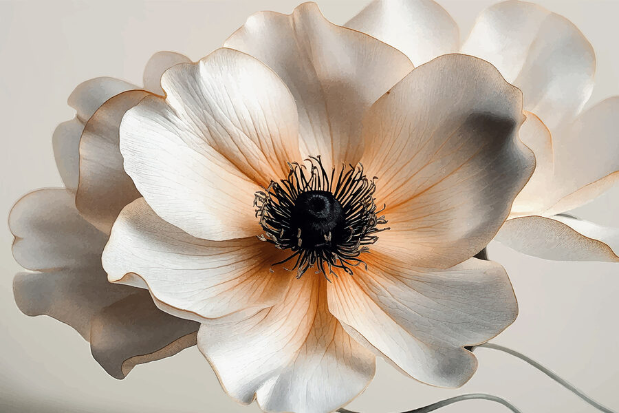Close up of a flower