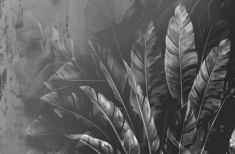 Close up of leaves