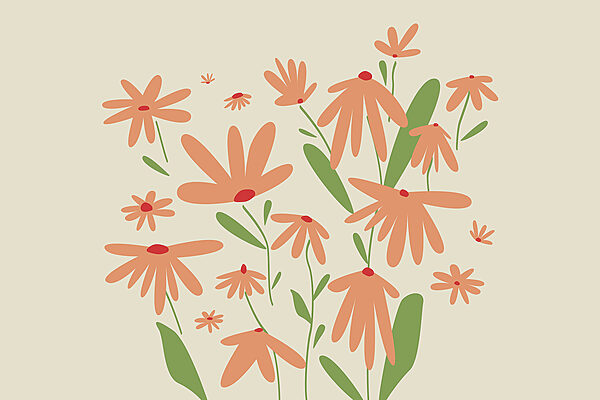 Group of orange flowers Group of orange flowers