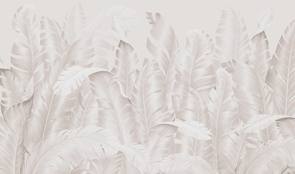 Group of white feathers Group of white feathers
