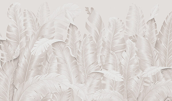 Group of white feathers Group of white feathers