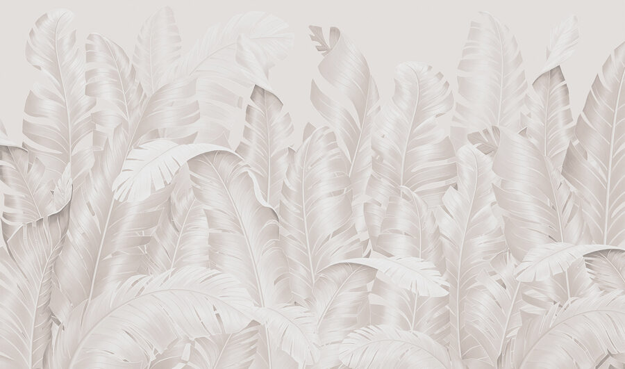 Group of white feathers