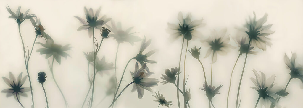 Group of flowers with stems Group of flowers with stems