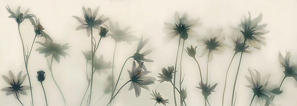 Group of flowers with stems Group of flowers with stems