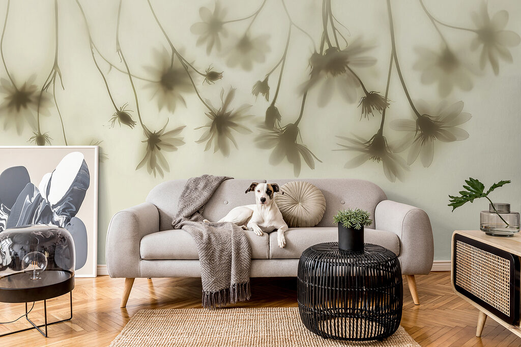 Group of flowers on a white background