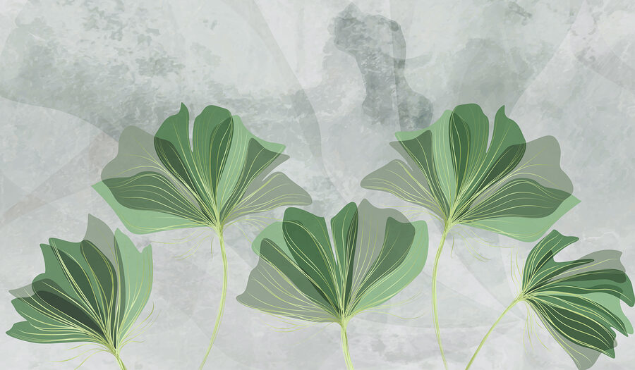 Green leaves with a grey background