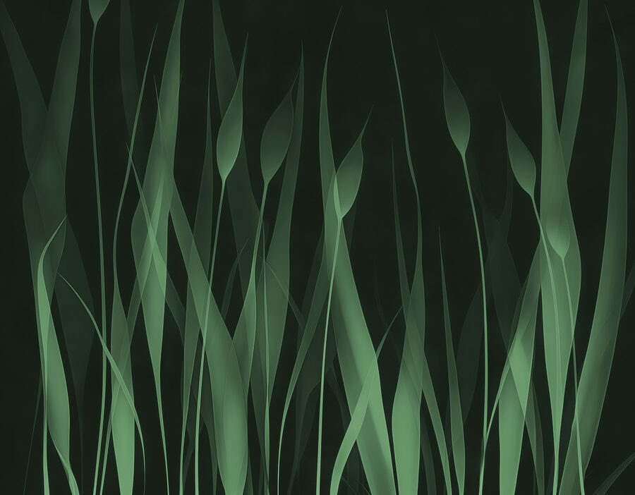 Green grass with black background