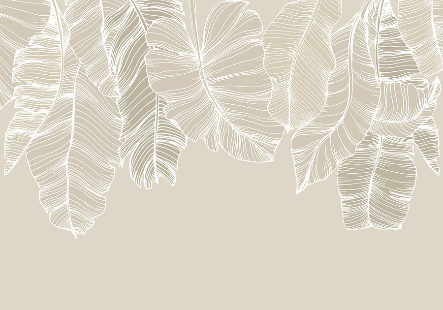 Close up of leaves