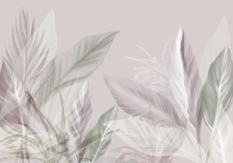 Close up of leaves