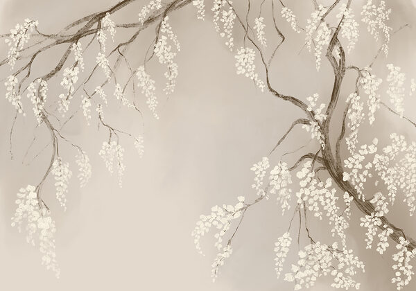 Tree branch with white flowers Tree branch with white flowers