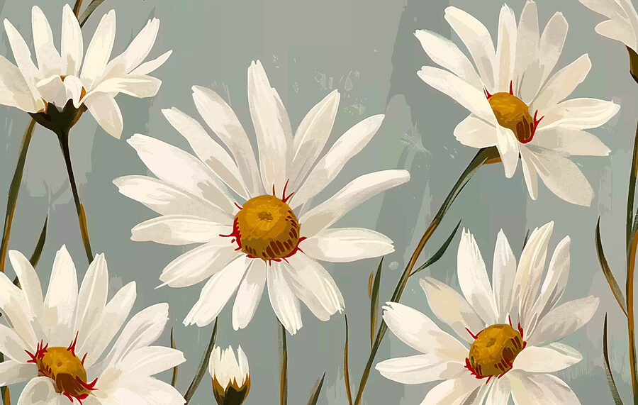 Wall murals Group of white flowers - Image 4