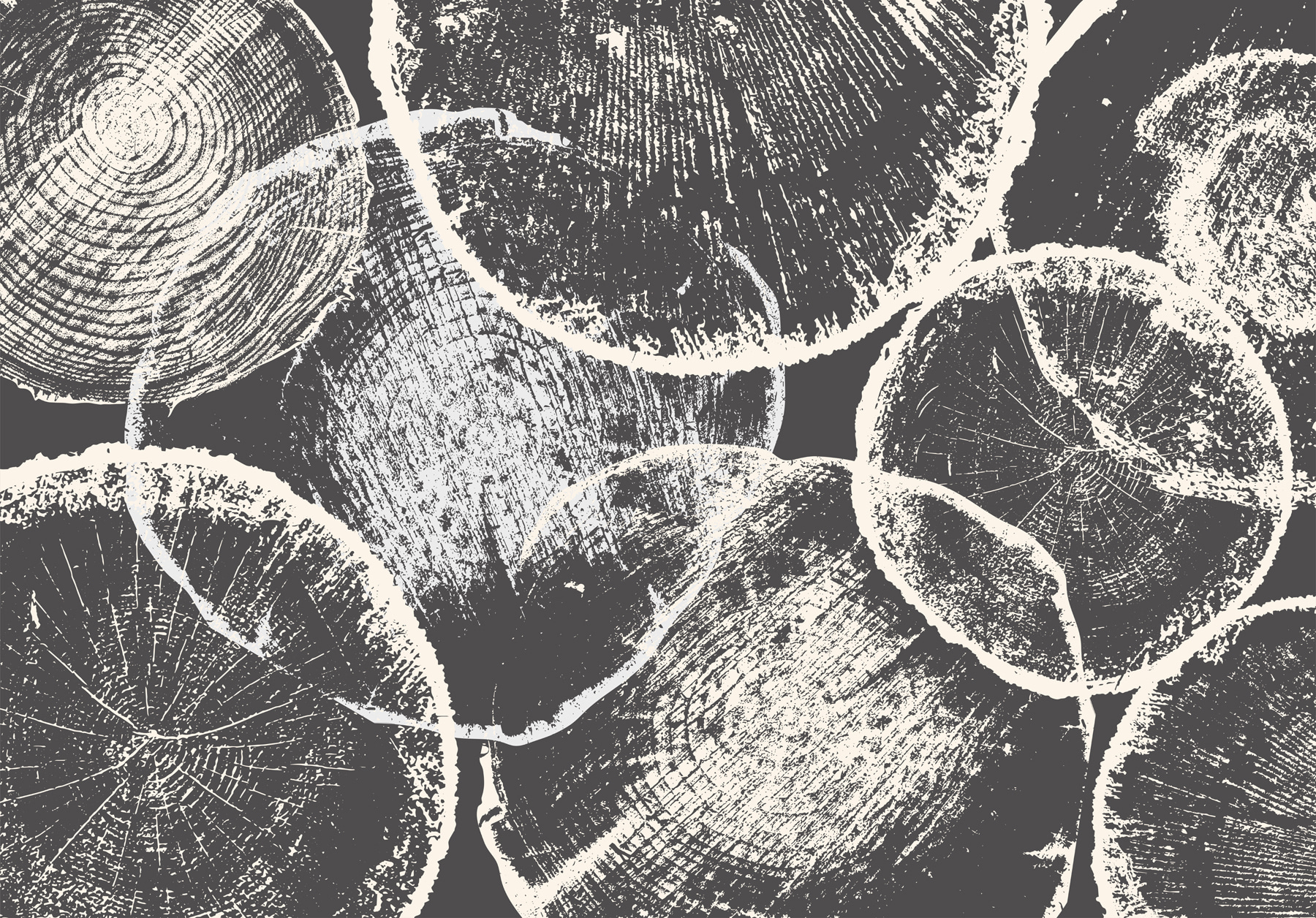 Group of circles on a gray background
