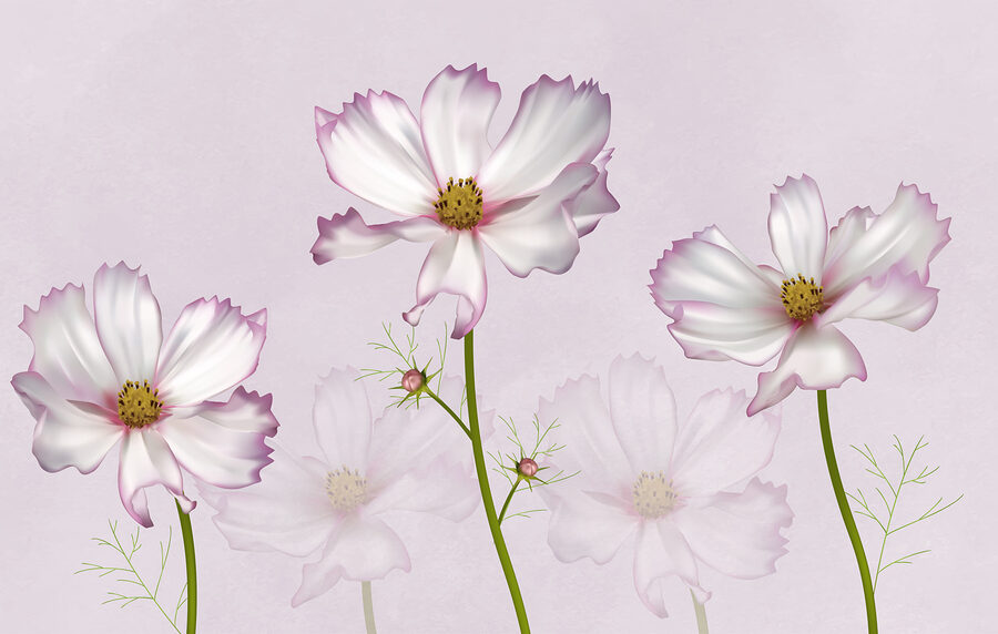 Group of white flowers
