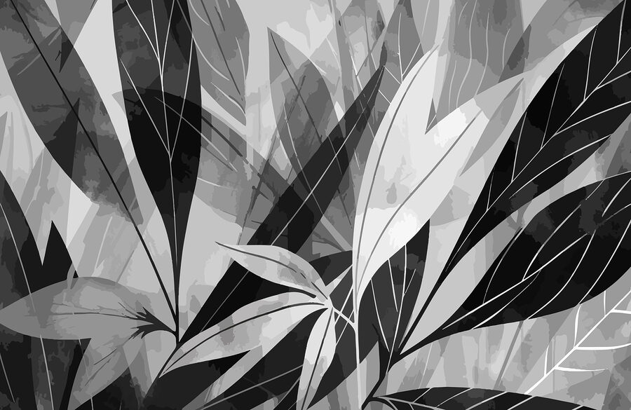 Black and white image of leaves
