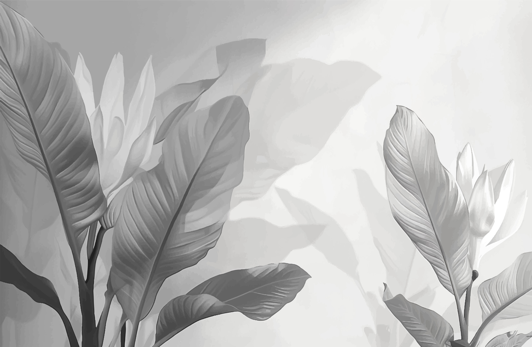 Close up of leaves Close up of leaves