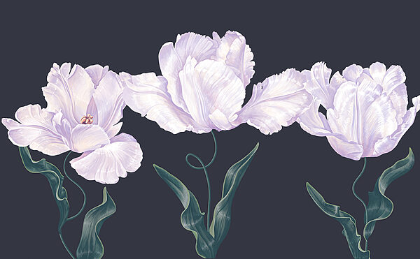 Row of white flowers with green leaves Row of white flowers with green leaves