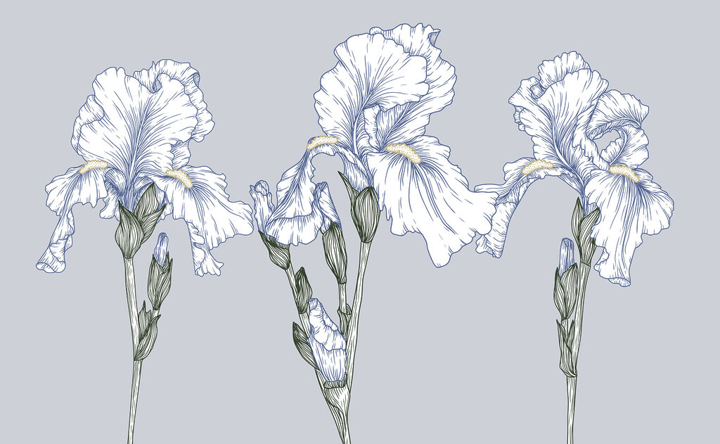 Group of white flowers Group of white flowers