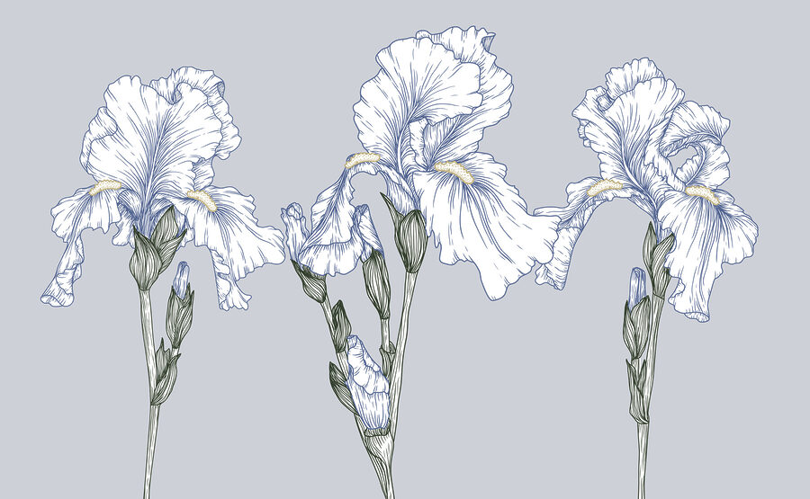Group of white flowers Group of white flowers