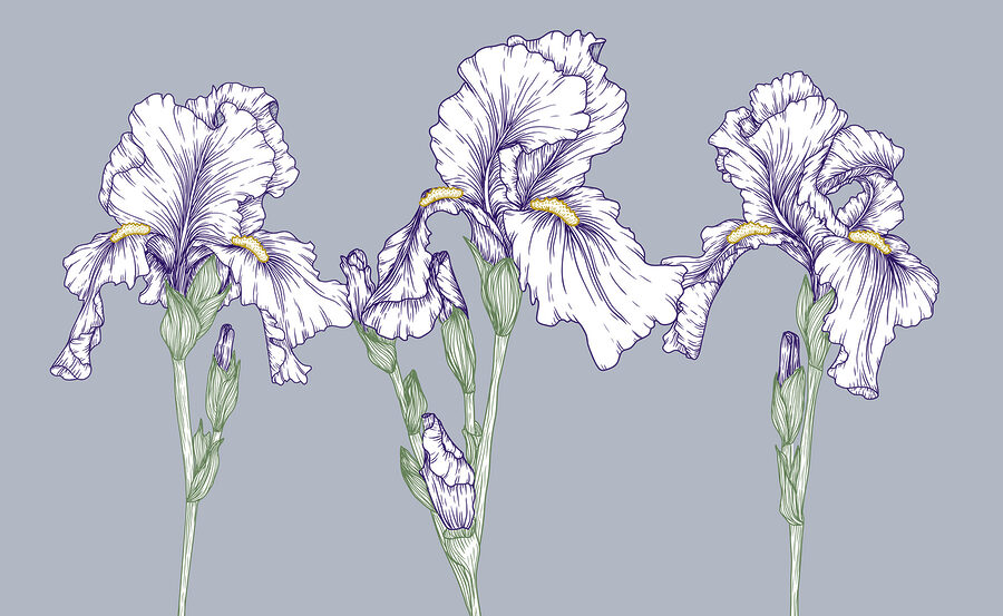 Group of white flowers