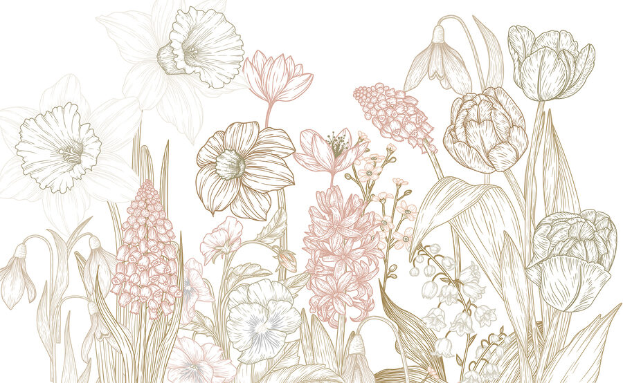 Drawing of flowers and plants