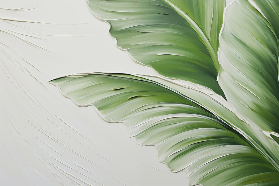 Close up of a leaf