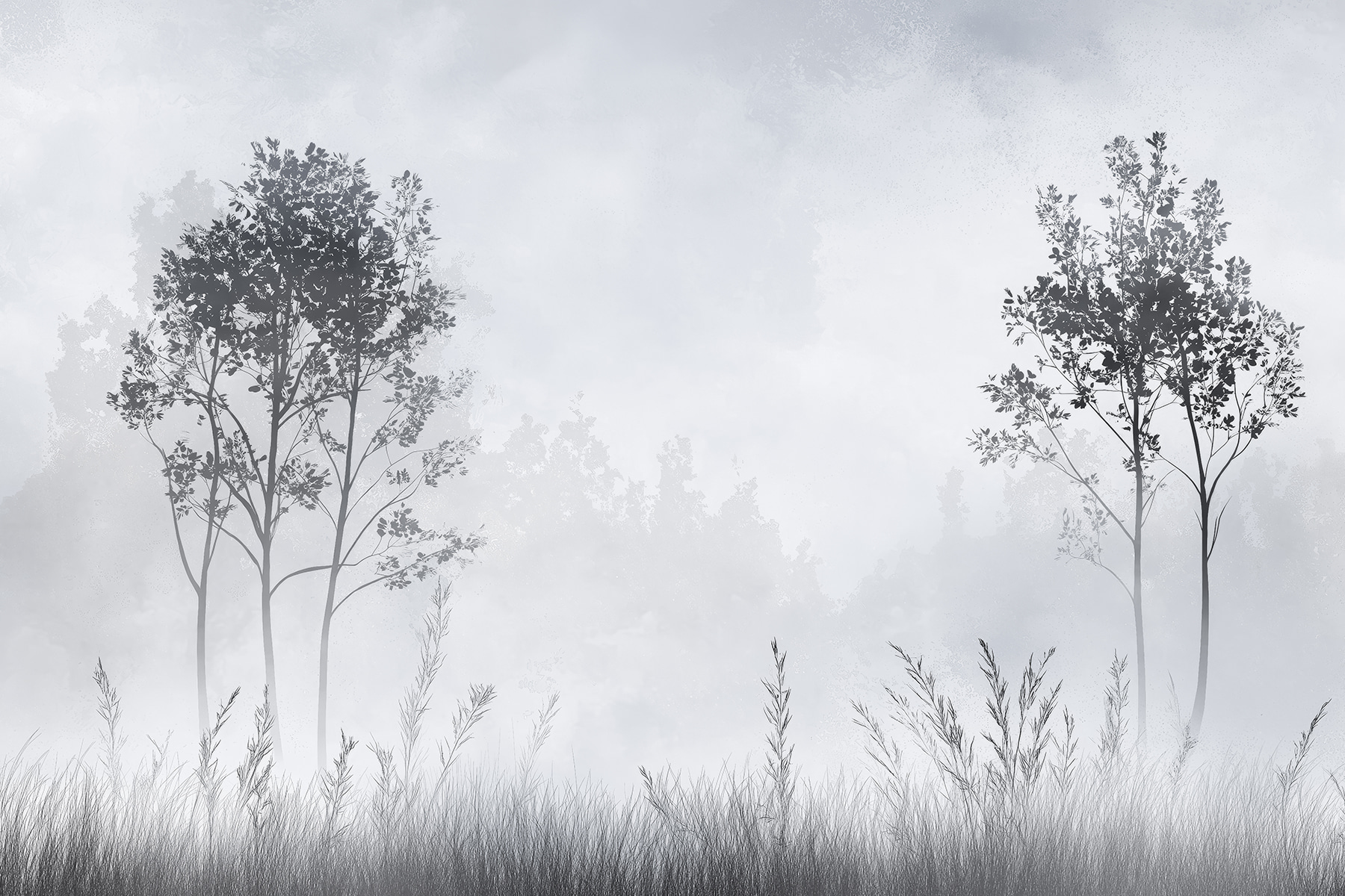 Foggy landscape with trees and grass
