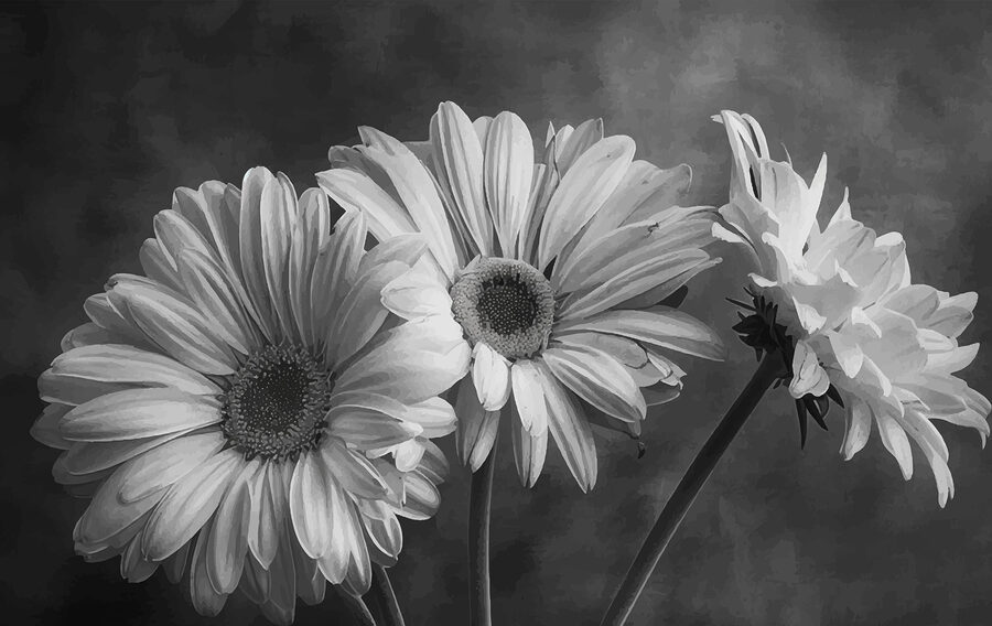 Group of flowers with petals