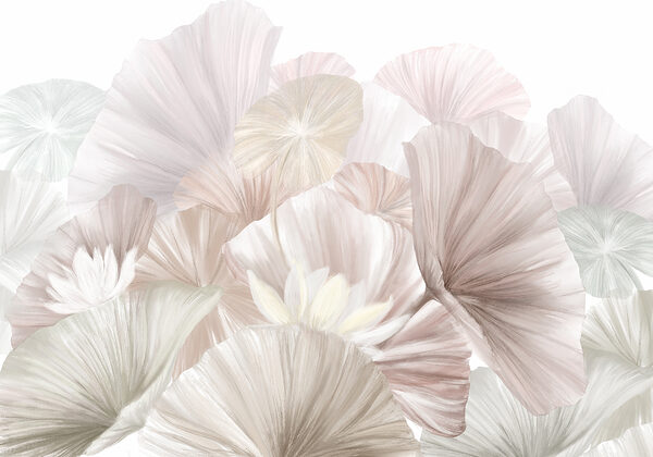 Group of white and pink flowers Group of white and pink flowers