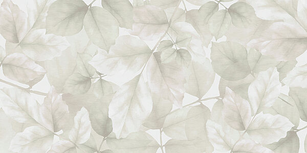 Close up of leaves Close up of leaves