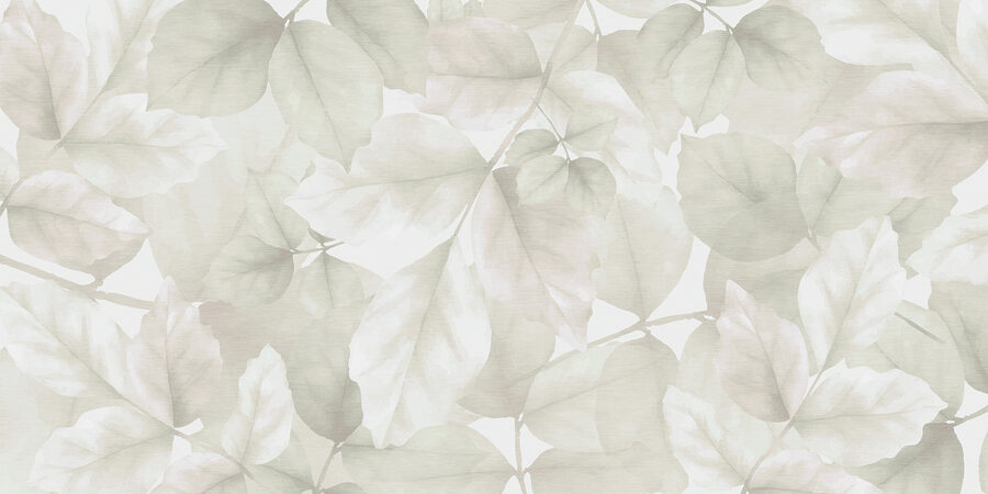 Close up of leaves Close up of leaves