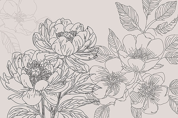 Drawing of flowers and leaves
