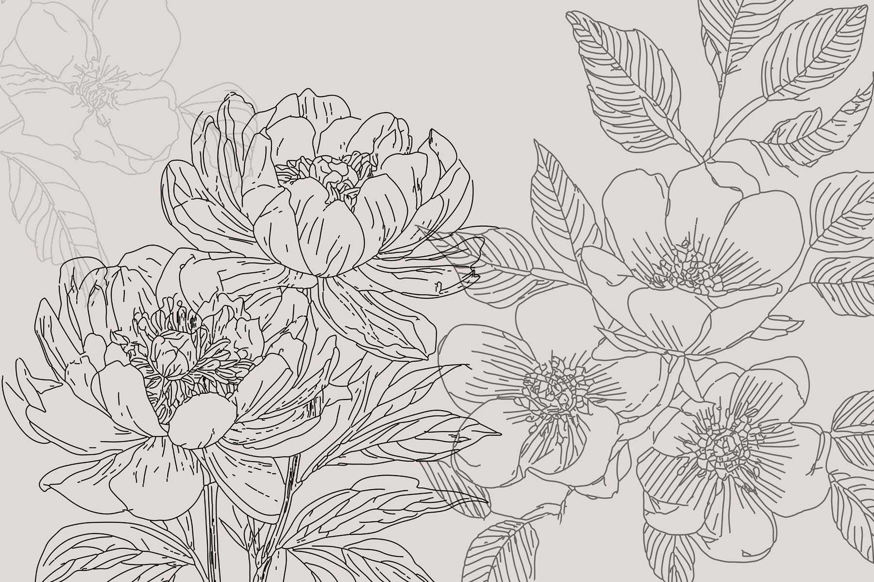 Drawing of flowers and leaves
