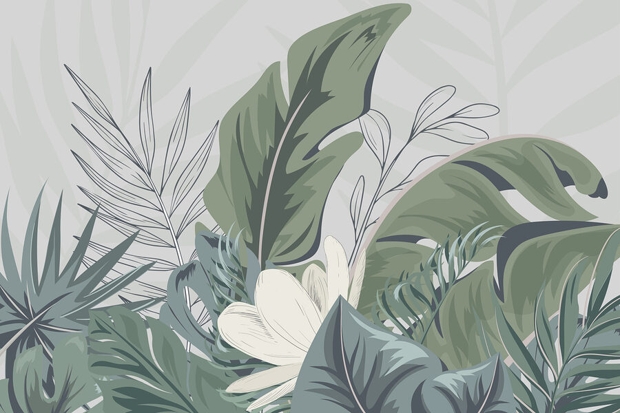 Close up of leaves