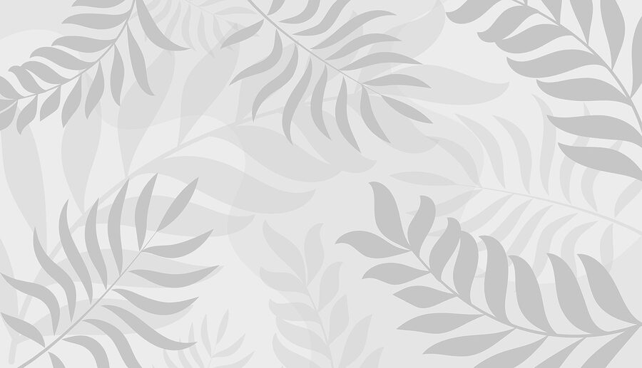 Grey leaves on a white background