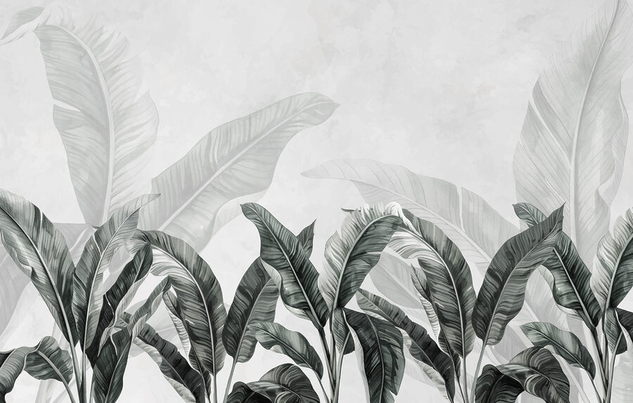 Group of leaves on a white background