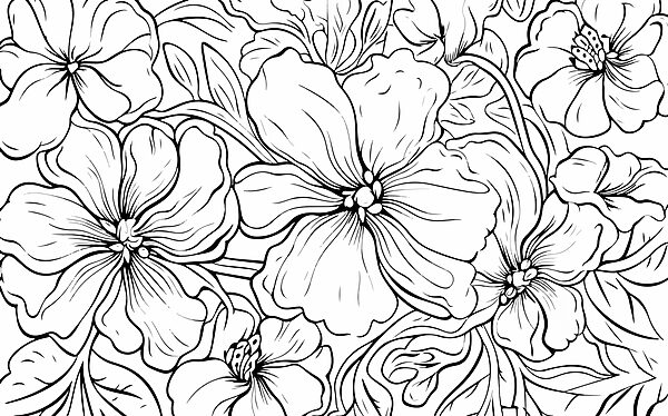 Black and white drawing of flowers Black and white drawing of flowers