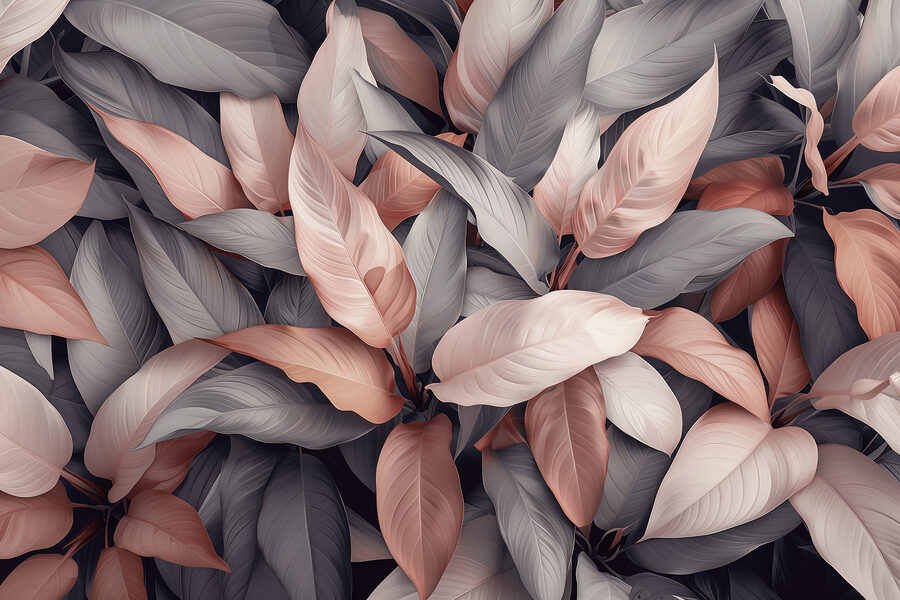 Group of leaves with pink and grey leaves