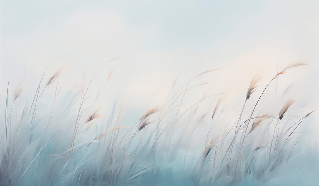 Field of grass with a foggy sky Field of grass with a foggy sky
